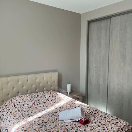 Superbe Appartement Plein Centre Millau Exterior photo