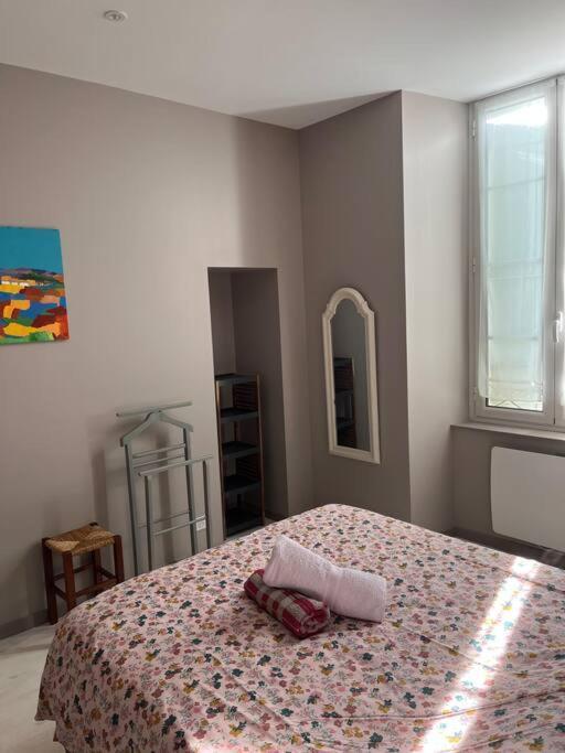 Superbe Appartement Plein Centre Millau Exterior photo