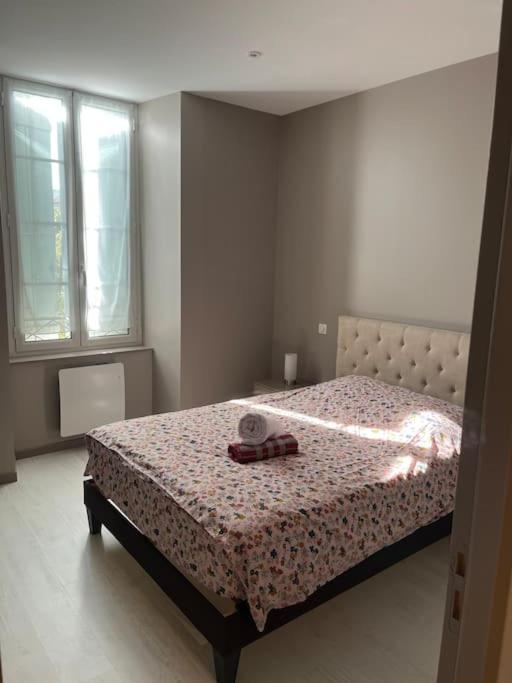 Superbe Appartement Plein Centre Millau Exterior photo